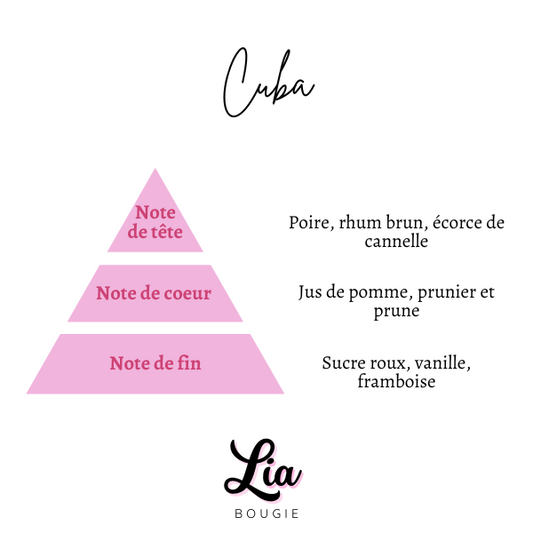 Fondant parfumé - Galet de Cire Parfumé - senteur Cuba