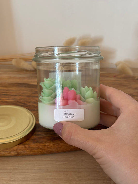 Bougie parfumée terrarium plantes grasses vertes et roses