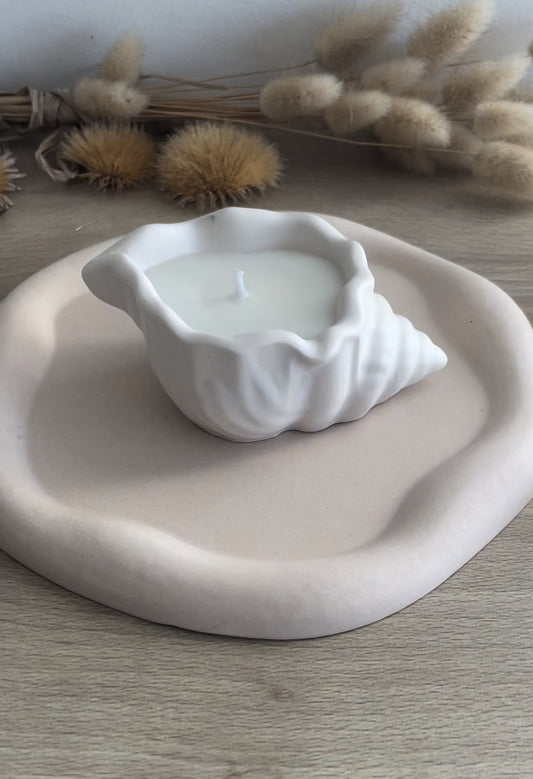 Bougie parfumée en forme de coquillage parfums au choix