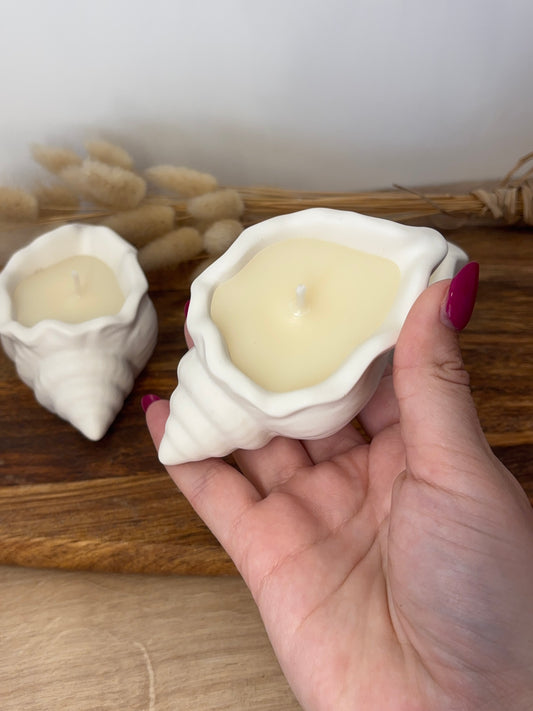 Bougie coquillage senteur mono 