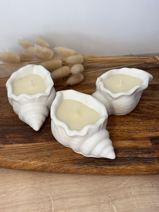 Bougie parfumée forme coquillage senteur mono
